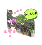 花で癒し（個別スタンプ：5）