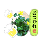 花で癒し（個別スタンプ：6）