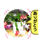 花で癒し（個別スタンプ：10）