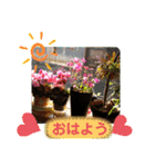 花で癒し（個別スタンプ：15）