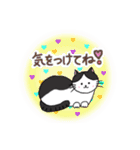 ねこのオリバーくん（個別スタンプ：18）