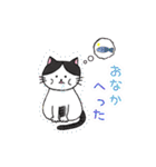 ねこのオリバーくん（個別スタンプ：19）