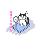 ねこのオリバーくん（個別スタンプ：24）