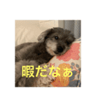 モジョゼ、ラブだぜ（個別スタンプ：3）