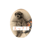 モジョゼ、ラブだぜ（個別スタンプ：7）
