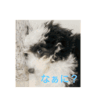 モジョゼ、ラブだぜ（個別スタンプ：10）