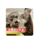 モジョゼ、ラブだぜ（個別スタンプ：15）