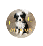 モジョゼ、ラブだぜ（個別スタンプ：18）