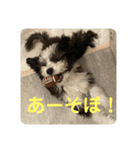 モジョゼ、ラブだぜ（個別スタンプ：20）