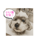 モジョゼ、ラブだぜ（個別スタンプ：23）