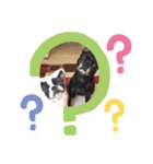 48家のお友達（個別スタンプ：10）
