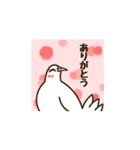 鳩山田さんと鳩フレンズ（個別スタンプ：3）