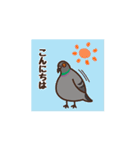 鳩山田さんと鳩フレンズ（個別スタンプ：13）