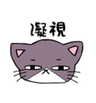 ダル猫～よく使う～（個別スタンプ：3）