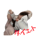 ゆずははの日常part3（個別スタンプ：9）