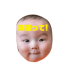 村上家の赤ちゃん3（個別スタンプ：17）