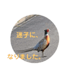 一分の時間。（個別スタンプ：7）