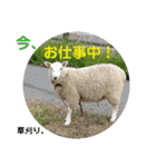 一分の時間。（個別スタンプ：9）