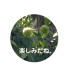 一分の時間。（個別スタンプ：13）