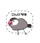 手描き文鳥さんスタンプ（個別スタンプ：2）