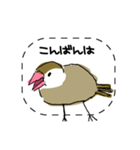 手描き文鳥さんスタンプ（個別スタンプ：3）