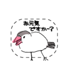 手描き文鳥さんスタンプ（個別スタンプ：4）