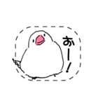 手描き文鳥さんスタンプ（個別スタンプ：5）