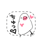 手描き文鳥さんスタンプ（個別スタンプ：12）