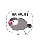 手描き文鳥さんスタンプ（個別スタンプ：17）
