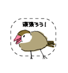 手描き文鳥さんスタンプ（個別スタンプ：18）