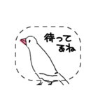 手描き文鳥さんスタンプ（個別スタンプ：21）