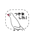 手描き文鳥さんスタンプ（個別スタンプ：23）