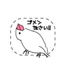 手描き文鳥さんスタンプ（個別スタンプ：24）