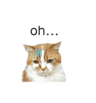 ふわふわ猫「みろ」vol.3（個別スタンプ：6）