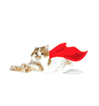 ふわふわ猫「みろ」vol.3（個別スタンプ：7）