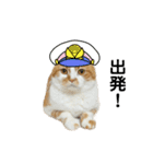 ふわふわ猫「みろ」vol.3（個別スタンプ：9）