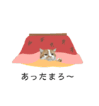 ふわふわ猫「みろ」vol.3（個別スタンプ：16）
