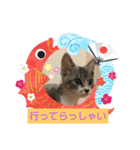 チョコチョコるん（個別スタンプ：1）