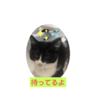 チョコチョコるん（個別スタンプ：3）