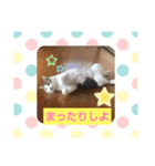 チョコチョコるん（個別スタンプ：4）