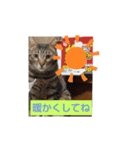 チョコチョコるん（個別スタンプ：5）
