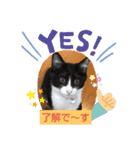 チョコチョコるん（個別スタンプ：6）