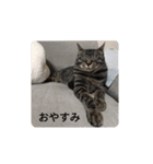 モモ君登場！（個別スタンプ：8）