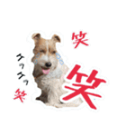 2021年スタンプ①（個別スタンプ：12）