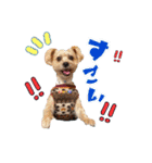 2021年スタンプ①（個別スタンプ：13）