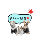 2021年スタンプ①（個別スタンプ：16）