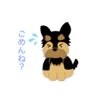 ヨークシャーテリアのプーちゃんスタンプ（個別スタンプ：2）