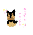 ヨークシャーテリアのプーちゃんスタンプ（個別スタンプ：5）
