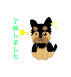 ヨークシャーテリアのプーちゃんスタンプ（個別スタンプ：6）
