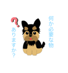 ヨークシャーテリアのプーちゃんスタンプ（個別スタンプ：8）